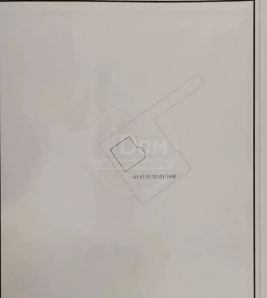 1000306619