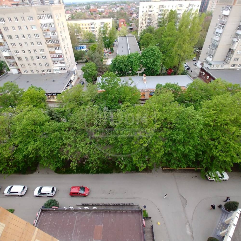 двор
