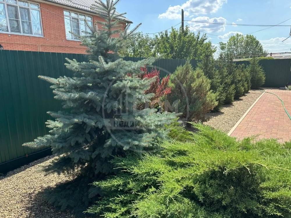 img_20260130_115237_320