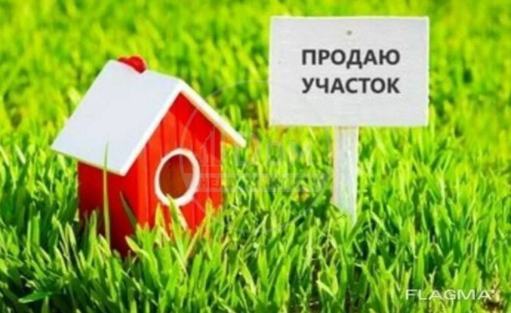 двор