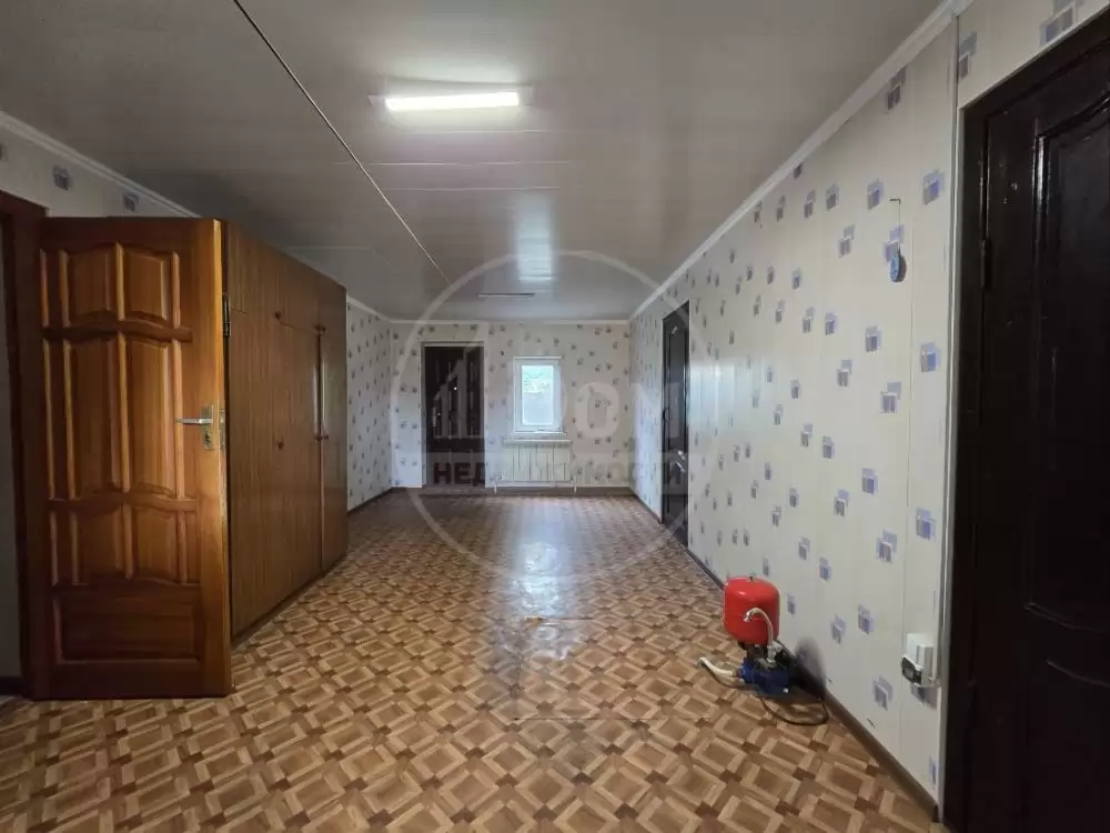 1000271919